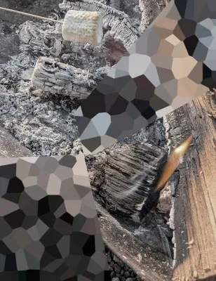 デイキャンプで焼いたマシュマロ