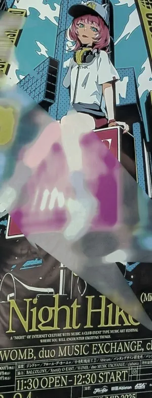 初めて行った音楽フェスのNighthike