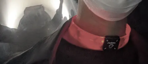 THE BASSでグッズを身にまとった僕